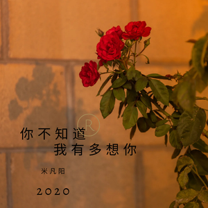 你不知道我有多想你（Pure Music）