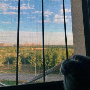 火车驶向云外，梦安魂于九霄-Cover刺猬