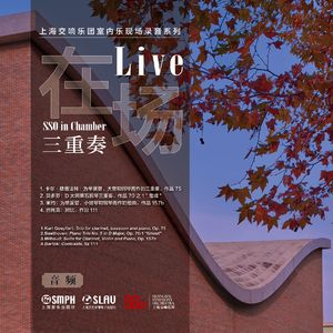 卡尔·格普法特：为单簧管、大管和钢琴而作的三重奏，作品75，第一乐章 快板