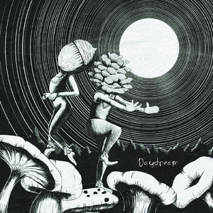 モモチノキノコ