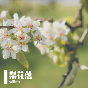 梨花落（国风）