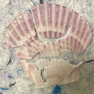 才二十三（片段）