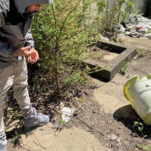 just chattin (feat. Boodah)