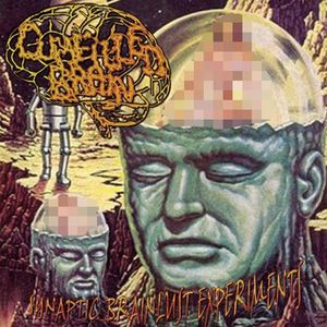 Synaptic Brainlust Experiments