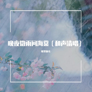 晚夜微雨问海棠（和声清唱）