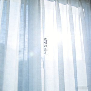 透明的清晨