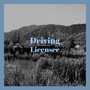 Driving Licensee