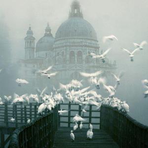 告白（翻唱） cover：沈以诚