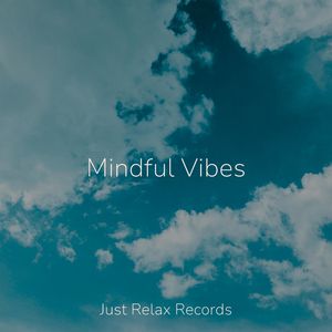 Tranquil Veil of Silence