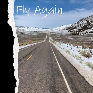 Fly Again (feat. Holly Tucker)