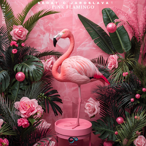 Pink Flamingo