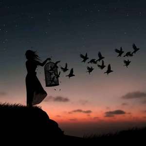 Dilmura 迪姆拉（2010年）