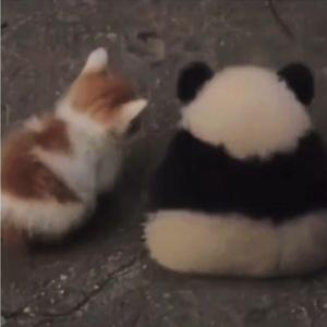 我们在这里相见（高考加油版）