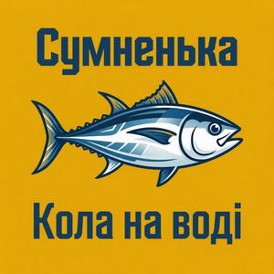 Кола на воді