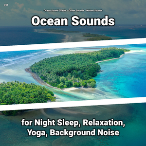 Ocean Noises Sound Effect for Dog Barking