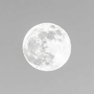 Մենք չենք ընկնի, մենք ուժեղ ենք