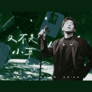 又不是小草