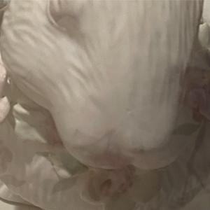 Always (demo)