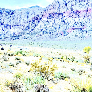 Desert Plain