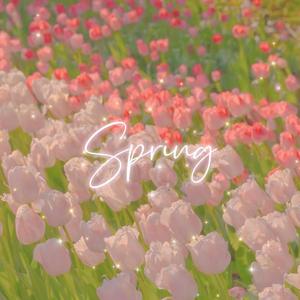 晚春Letter of apology