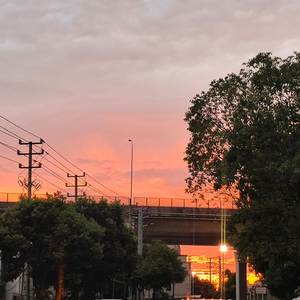 残夏 Rest of summer