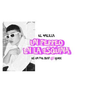 Perreo En La Esquina (feat. El Malilla) (OG On The Beat RKT Remix)