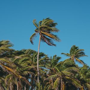 诗意的周末节奏