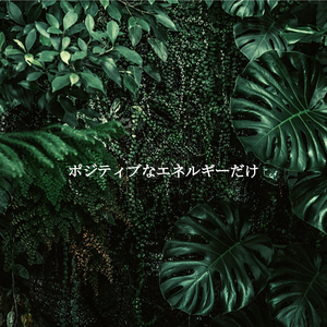 Casual Music for Calming Perspectives