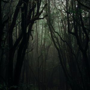 Underground x Rich Amiri type beat"Cxde"