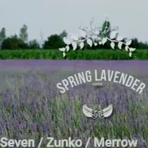 Spring Lavender