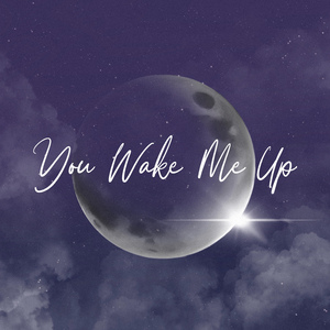 You Wake Me Up