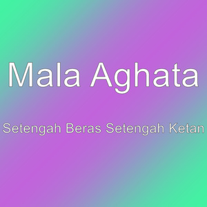 Setengah Beras Setengah Ketan