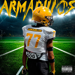 Armadillos