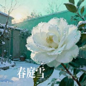 春庭雪 (Cover 佳豪.)