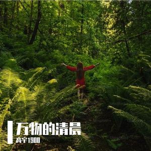 万物的清晨 伴奏