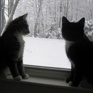 我想 我这辈子是不可能谈恋爱