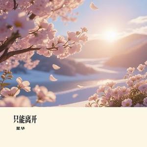 万灵之上 (星华 Remix)