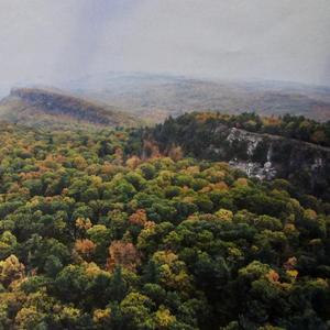 Seagulls sitting on chunks of ice in the river