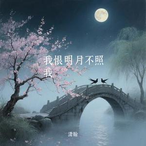我恨明月不照我 (Cover 阿YueYue)
