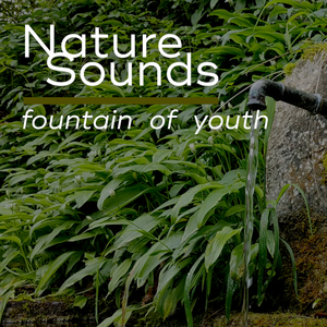 Nature Sounds / Fountain of Youth