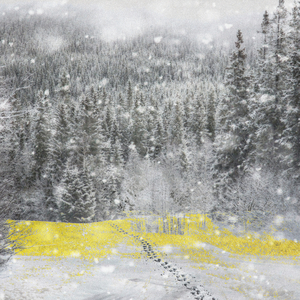 고요함 속에 당신을 매만지며 (Vocal. Heezy)