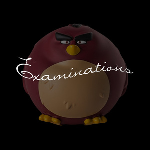 Examinations