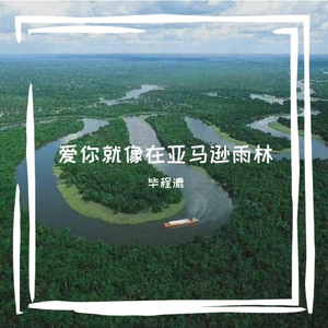 爱你就像在亚马逊雨林