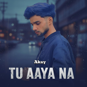 Tu Aaya Na