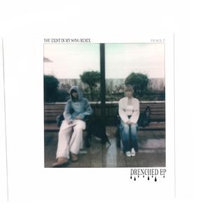 You Exist in my Song