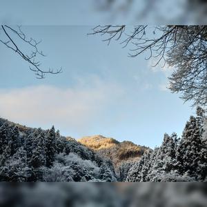 君の言葉が、今でも胸を照らしてる/ Your Words Still Light My Heart