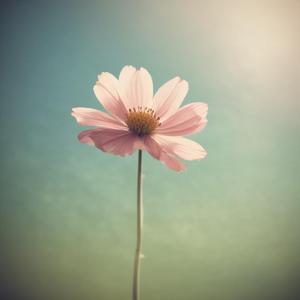 നീ എൻ മന്നിൽ വിരിഞ്ഞ പൂവ് നീ എൻ ഹൃദയം എട by @funkaudacity9995