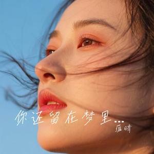 你还留在梦里面
