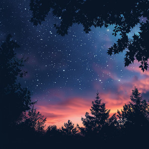 Moon Casts Silky Shadows