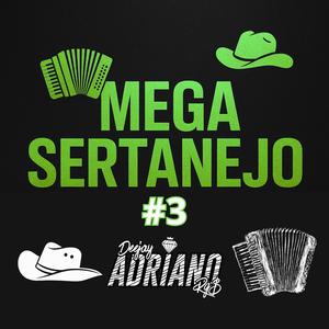 Mega Sertanejo Desilusão